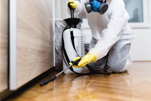 Best Best Pest Control Companies  in Cornville, AZ