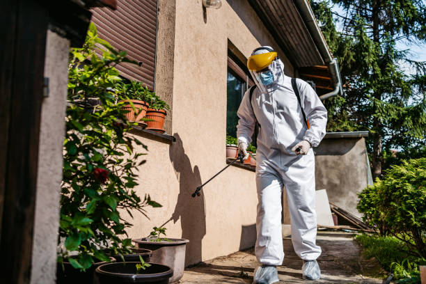 Best Best Pest Control Companies  in Cornville, AZ