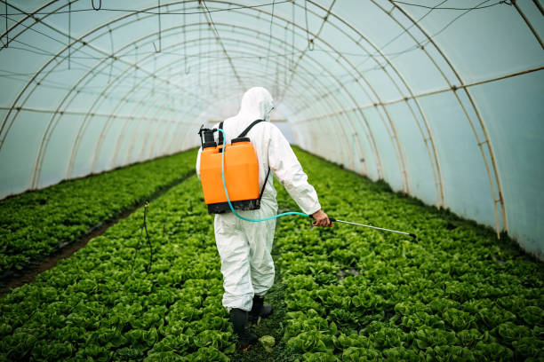Best Ant Control Services  in Cornville, AZ