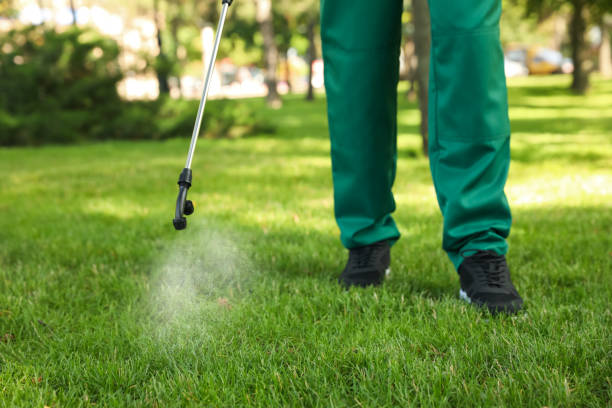 Best Flea Control Services  in Cornville, AZ
